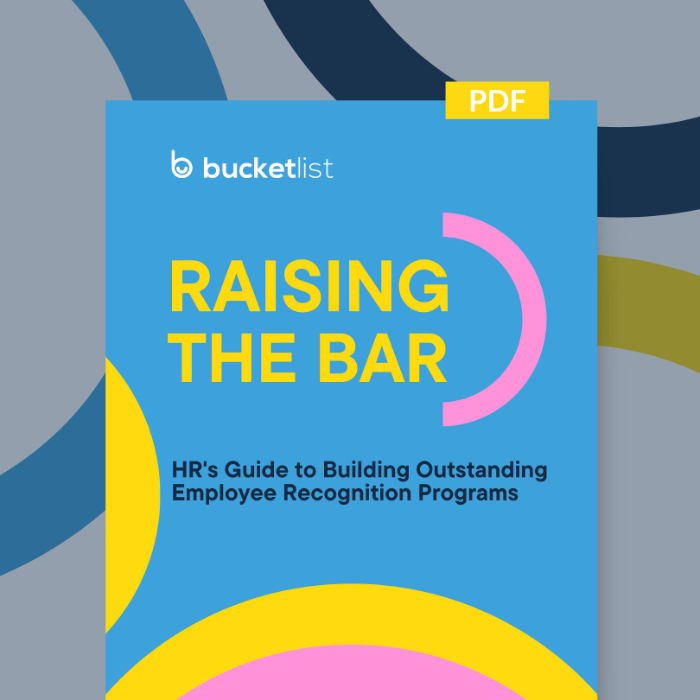 Raising the Bar Playbook